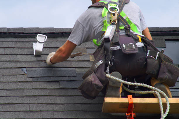 Best Roof Gutter Cleaning  in Deadwood, SD